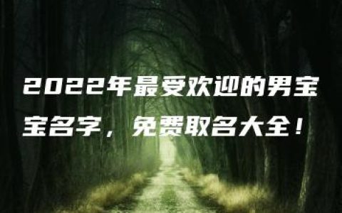 2022年最受欢迎的男宝宝名字，免费取名大全！