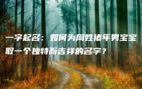 一字起名：如何为周姓猪年男宝宝取一个独特而吉祥的名字？