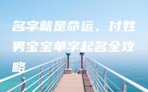 名字就是命运，付姓男宝宝单字起名全攻略