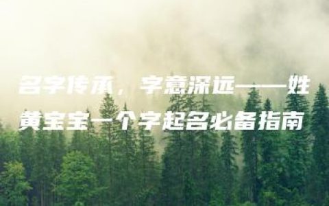 名字传承，字意深远——姓黄宝宝一个字起名必备指南