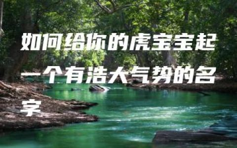 如何给你的虎宝宝起一个有浩大气势的名字