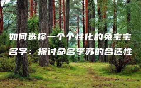 如何选择一个个性化的兔宝宝名字：探讨命名李苏的合适性