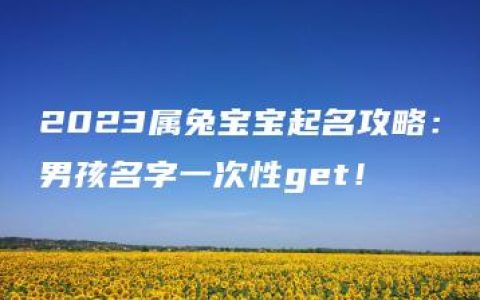 2023属兔宝宝起名攻略：男孩名字一次性get！