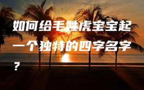 如何给毛姓虎宝宝起一个独特的四字名字？