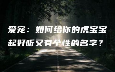 爱宠：如何给你的虎宝宝起好听又有个性的名字？