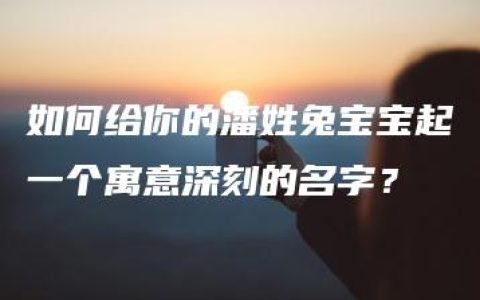 如何给你的潘姓兔宝宝起一个寓意深刻的名字？