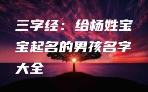 三字经：给杨姓宝宝起名的男孩名字大全