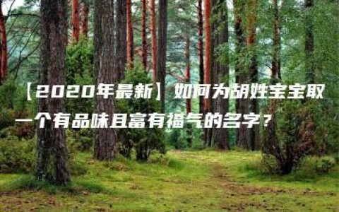 【2020年最新】如何为胡姓宝宝取一个有品味且富有福气的名字？