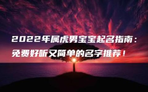 2022年属虎男宝宝起名指南：免费好听又简单的名字推荐！