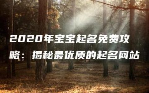 2020年宝宝起名免费攻略：揭秘最优质的起名网站