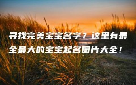 寻找完美宝宝名字？这里有最全最大的宝宝起名图片大全！