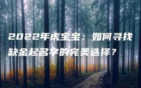 2022年虎宝宝：如何寻找缺金起名字的完美选择？