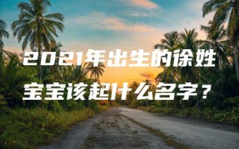 2021年出生的徐姓宝宝该起什么名字？