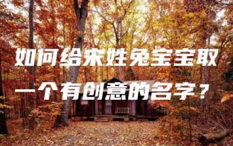 如何给宋姓兔宝宝取一个有创意的名字？