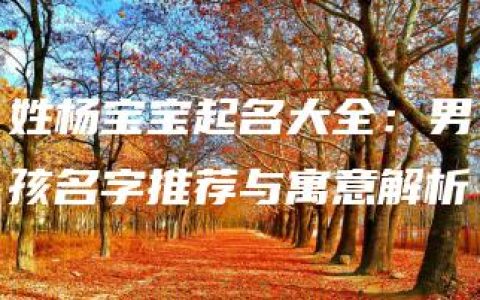 姓杨宝宝起名大全：男孩名字推荐与寓意解析