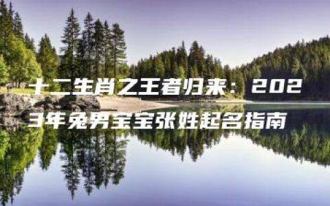 十二生肖之王者归来：2023年兔男宝宝张姓起名指南