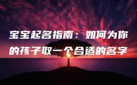 宝宝起名指南：如何为你的孩子取一个合适的名字