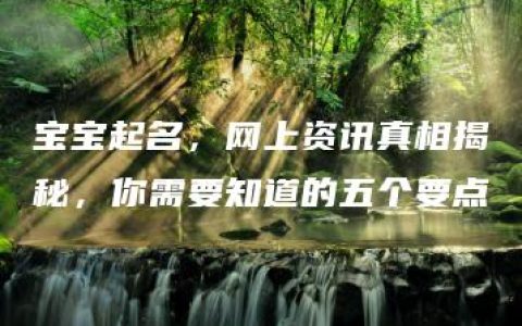 宝宝起名，网上资讯真相揭秘，你需要知道的五个要点