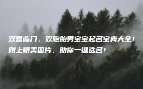 双喜临门，双胞胎男宝宝起名宝典大全！附上精美图片，助你一键选名！