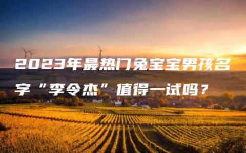 2023年最热门兔宝宝男孩名字“李令杰”值得一试吗？