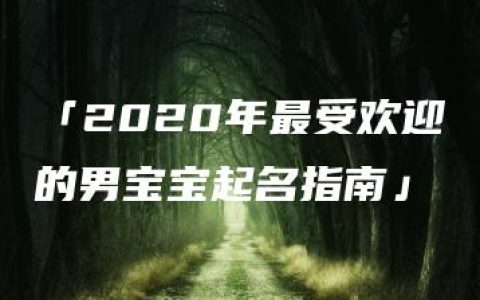 「2020年最受欢迎的男宝宝起名指南」