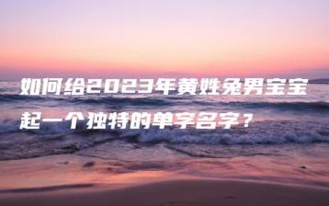 如何给2023年黄姓兔男宝宝起一个独特的单字名字？