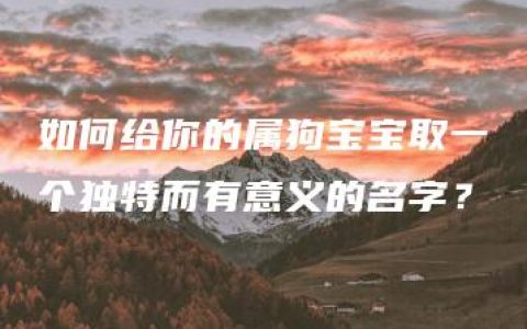 如何给你的属狗宝宝取一个独特而有意义的名字？