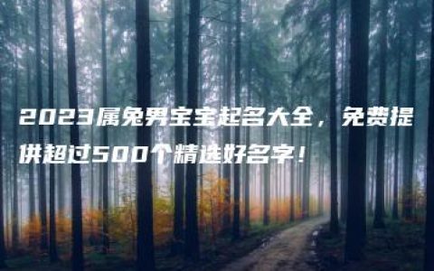 2023属兔男宝宝起名大全，免费提供超过500个精选好名字！