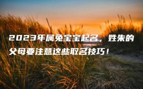 2023年属兔宝宝起名，姓朱的父母要注意这些取名技巧！