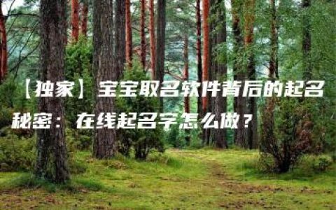 【独家】宝宝取名软件背后的起名秘密：在线起名字怎么做？