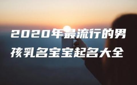 2020年最流行的男孩乳名宝宝起名大全