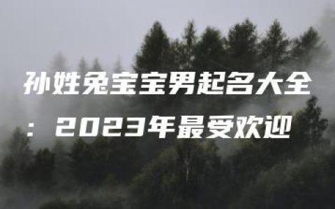 孙姓兔宝宝男起名大全：2023年最受欢迎