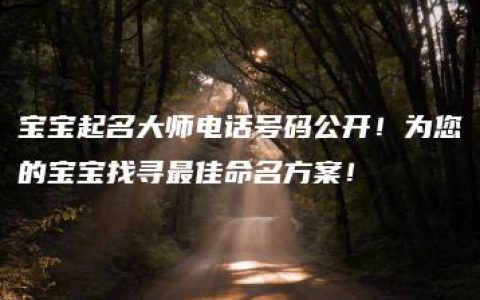 宝宝起名大师电话号码公开！为您的宝宝找寻最佳命名方案！