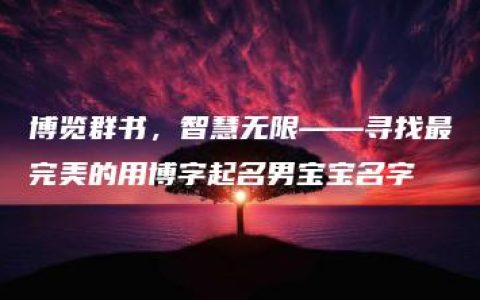 博览群书，智慧无限——寻找最完美的用博字起名男宝宝名字