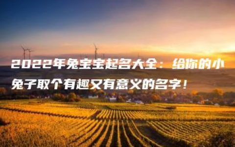 2022年兔宝宝起名大全：给你的小兔子取个有趣又有意义的名字！