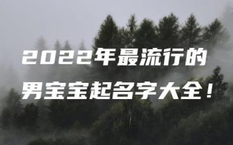 2022年最流行的男宝宝起名字大全！