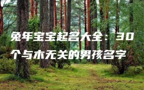 兔年宝宝起名大全：30个与木无关的男孩名字