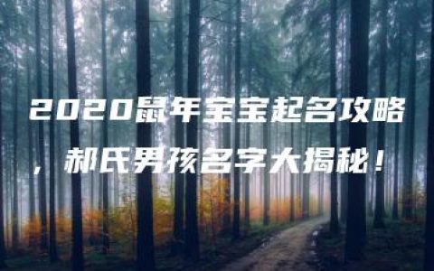 2020鼠年宝宝起名攻略，郝氏男孩名字大揭秘！