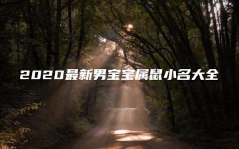 2020最新男宝宝属鼠小名大全