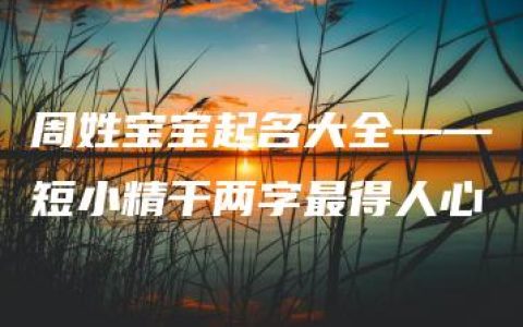 周姓宝宝起名大全——短小精干两字最得人心