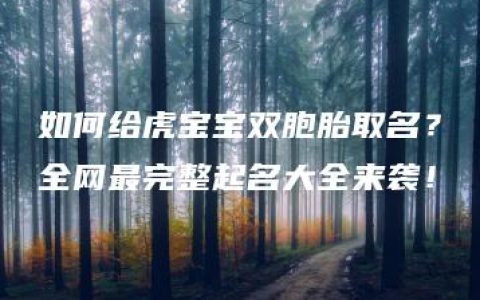 如何给虎宝宝双胞胎取名？全网最完整起名大全来袭！