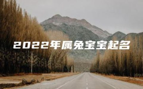 2022年属兔宝宝起名