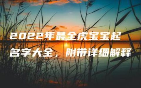 2022年最全虎宝宝起名字大全，附带详细解释