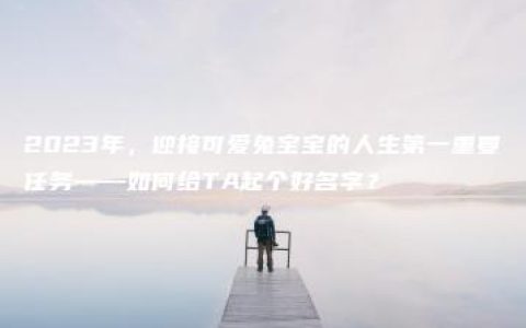 2023年，迎接可爱兔宝宝的人生第一重要任务——如何给TA起个好名字？