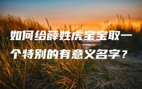 如何给薛姓虎宝宝取一个特别的有意义名字？