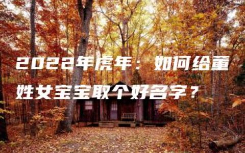 2022年虎年：如何给董姓女宝宝取个好名字？