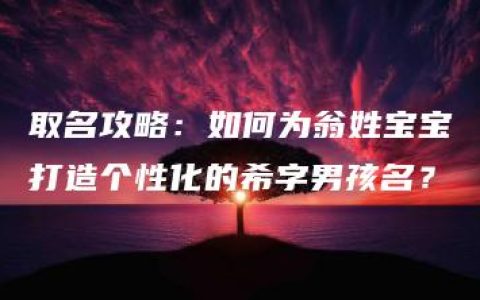 取名攻略：如何为翁姓宝宝打造个性化的希字男孩名？