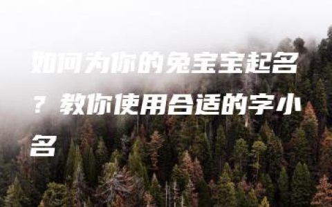 如何为你的兔宝宝起名？教你使用合适的字小名