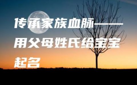 传承家族血脉——用父母姓氏给宝宝起名