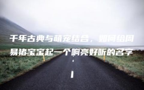 千年古典与萌宠结合，如何给周易猪宝宝起一个响亮好听的名字